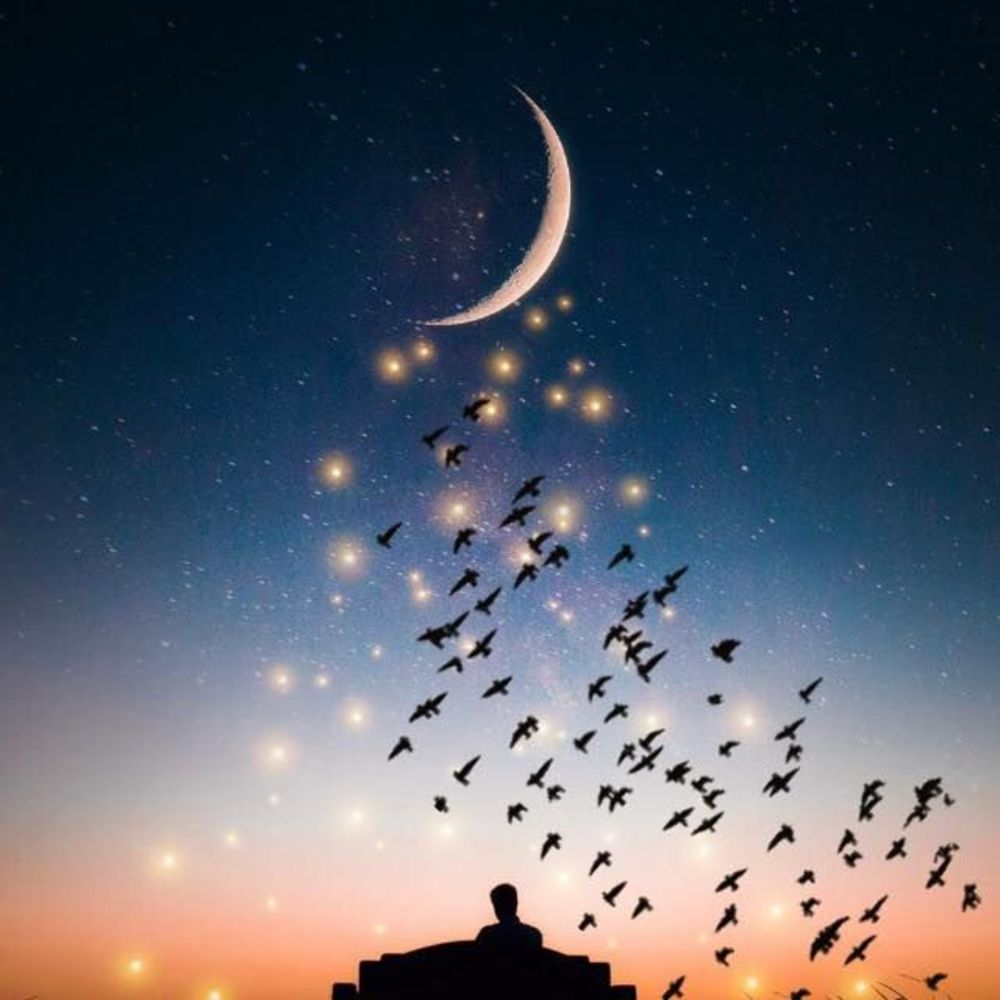 Meet your Posher, Yahaira